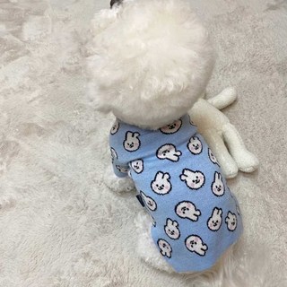 강아지 봄 가을 겨울 데일리 실내 니트 패션 쇼핑몰, 스카이블루 XL, 1개