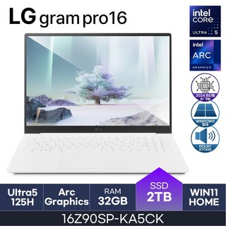 LG전자 LG 그램 프로 16Z90SP-KA5CK