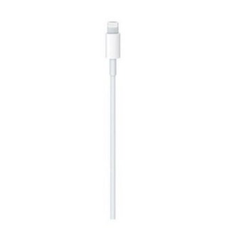 Apple 정품 Lightning-C타입 충전 케이블, 1m, 1개