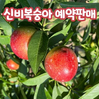 원이네농수산 신비복숭아 철 산지직송 복숭아 제철, 1박스, 신비 복숭아 소과 정품 1kg (12-15과 내외)
