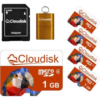 패럿 프라임 마이크로 SD 카드 2GB 플래시 메모리 C6 5팩SD 어댑터 리더2GB 포함, 1GB