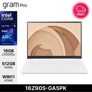 LG전자 2024 그램16 16Z90S-GA5PK