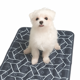 아쏘 강아지쿨매트 애견쿨매트