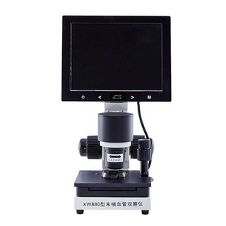모세혈관 확대경 고화질 말초 혈류 속도 관찰 스크린, 스탠다드 모델 HD 380배 12인치