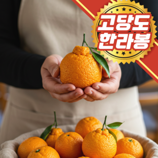고당도 제주직송 혼합과 한라봉 가정용, 1개, 혼합_한라봉) 5kg