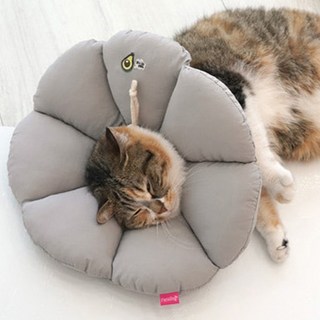 패리스독 꿀잠카라, 꿀잠카라(그레이), 1개