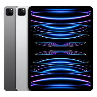 Apple 정품 2022 아이패드 프로 11 4세대 M2칩, 실버, 512GB, Wi-Fi