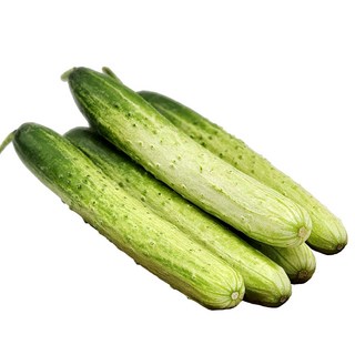 국내산 백오이 특품 백다다기 생식용 오이지용 피클용 소박이용, 1개, 백오이_10입