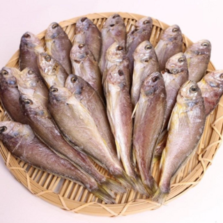 목포 반건조 참조기 10마리(700g내외) 마른 말린 생선 구이 굴비 파지 염장 국내산, 1개