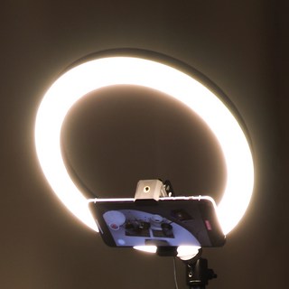 1. 꿀픽 프리미엄 ..