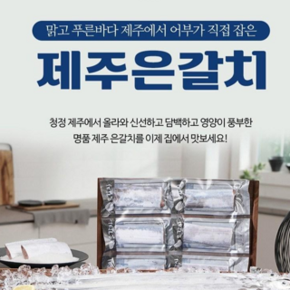 100% 제주 은갈치 업소용 도매 대용량 제주수협 직경매 산지직송, 1박스, 10마리(1.5kg이상)