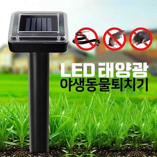 태양광 충전 두더지퇴치기 사용 모습
