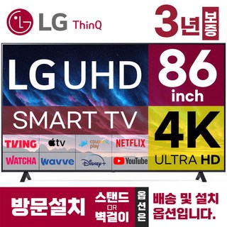 LG 대형 TV