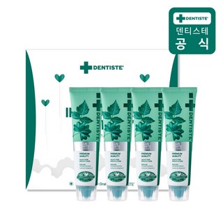덴티스테 뉴 플러스 화이트 치약, 100g, 4개