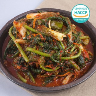 당일제조 HACCP인증 열무얼갈이김치 5kg, 1개