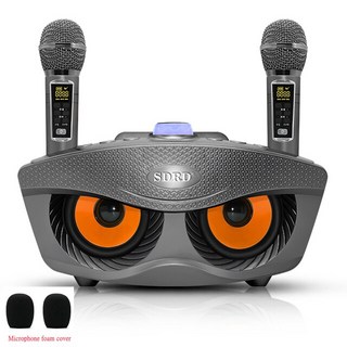 SD306 Plus Boom Box 휴대폰 노래방 기계 시스템 가정용 서브우퍼 휴대용 블루투스 스피커 무선 듀얼 마이크 오디오, 1.SD306 Plus