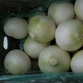 [인푸스] 국내산 무안 깐양파 대 중 혼합 사이즈, 1박스, 5kg