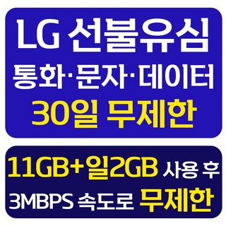 LG 선불유심 개통 데이터 무제한 선불요금제 선불폰 유심칩, 1개, 무제한11GB+일2GB, 30일