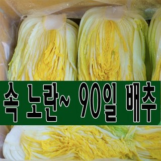 속 노란 90일 배추 괴산 절임배추 20kg (7-10포기) 도착일을 선택해주세요., 도착일 11월 11일