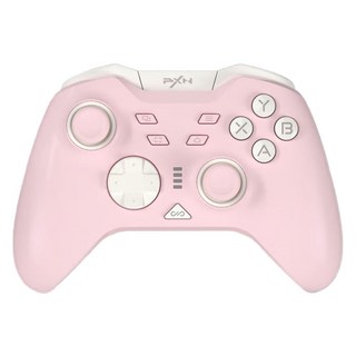 피엑스엔 P5 무선 게임 컨트롤러 수신기 포함, 1개