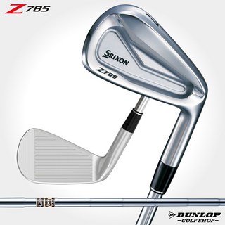 던롭 SRIXON 스릭슨 Z785 단품 아이언 다이내믹 골드 DST 스틸 샤프트 원정 일본 브랜드 라운딩 골프채 추천 해외 직구, Ｓ200, ＳＷ