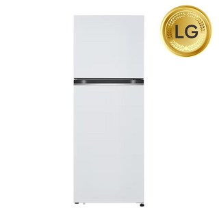 LG전자 일반냉장고 317L 1등급 B312W31, 단일옵션