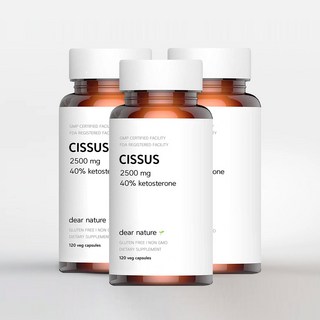 미국 직배송 디어내이처 시서스 프리미엄 2500mg 120정 3병 세트 코스트코시서스
