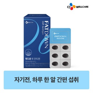5. CJ웰케어 팻다..