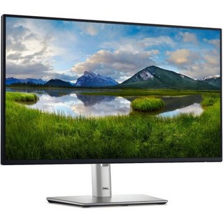 Dell 24 P2425HE 상세 정보