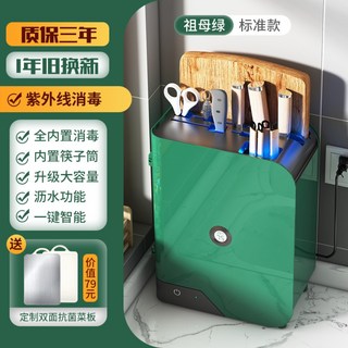 칼꽂이 소독기 건조 주방도구 칼 가위 도마 젓가락 숟가락 국자 블럭 거치대 수납 보관함, [단독소독] 에메랄드, 1개