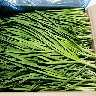 싱싱한 당일작업 부추 2kg 4kg, 1박스