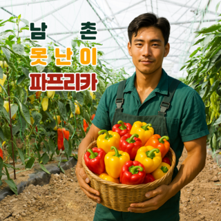 국내산 남촌 아삭아삭 알록달록 가정용 노랑 빨강 혼합 파프리카 1kg 2kg 5kg 못난이 파프리카, 1박스