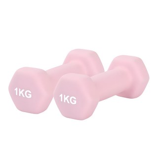 리브스포 논슬립 아령, 1kg