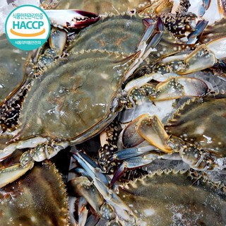 국내산 연평도 냉동 암꽃게 특품 급냉, 1개, 1kg (3-5미)