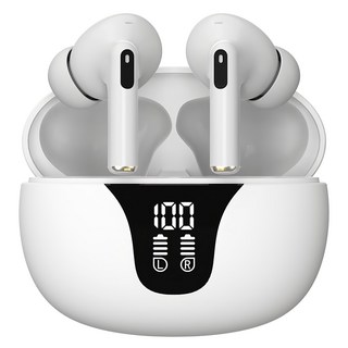 3. 블라우풍트 Ai..