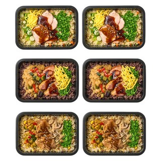 굿스푼 저당 당뇨도시락 식단 3종 솥밥 임당 영양식사 배달 맛있는 밥 고기반찬 추석 복날 영양식 (광고심의완), 980g, 2세트, 당뇨 솥밥 도시락 3종