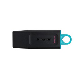 킹스톤 DTX USB 3.2 64GB