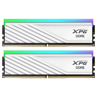 ADATA DDR5-6000 CL30 LANCER BLADE RGB 화이트 패키지 서린 (32GB(16Gx2)), 2개