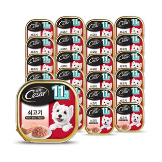 시저 11세 이상 시니어 강아지 주식캔, 소, 100g, 24개