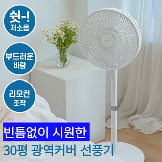 3. [39cm 대형..