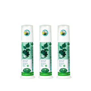 덴티스테 플러스화이트 펌프형 치약, 170g, 3개