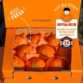 [산지 직송] 16brix 제주 특상급 프리미엄 명품 초달달 로열 레드향 선물세트, 1개, 선물용 3kg