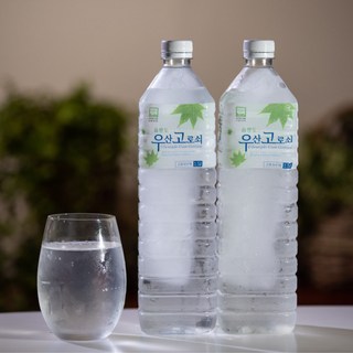 울릉도 고로쇠 우산 고로쇠수액 고로쇠물 1.5L 6개 상품 이미지