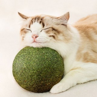 고냥냥 대왕 캣닢볼 고양이 장난감 1개 상품 이미지