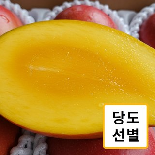 [항공직수입] 당도 선별 통관 페루산 고당도 꿀 애플망고 로얄과 특품, 1박스, 4kg (로얄과 8-9과)