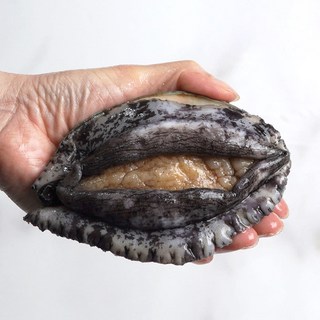완도사랑 싱싱할 활 전복