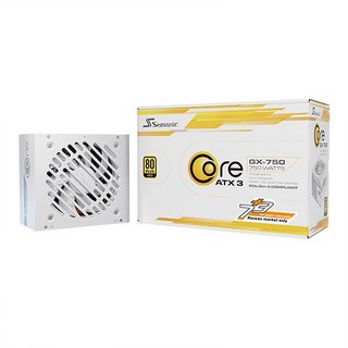 시소닉 CORE V2 GX-750 GOLD 풀모듈러