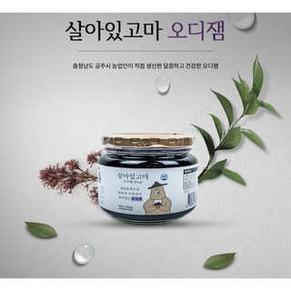 금맥로컬푸드 오디잼 저온진공농축 뽕나무열매 신선잼 아이들 간편한 간식 대용, 1개, 500g