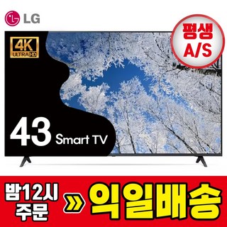 4. LG전자 43인..