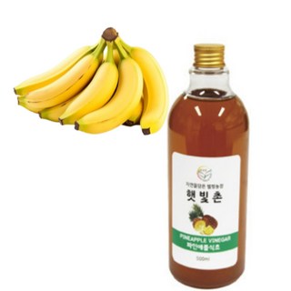 GREEN 햇빛촌 자연발효 수제 과일 바나나 식초, 1개, 1L